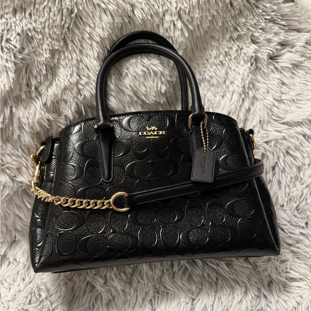 Coach Mini Sage Carryall